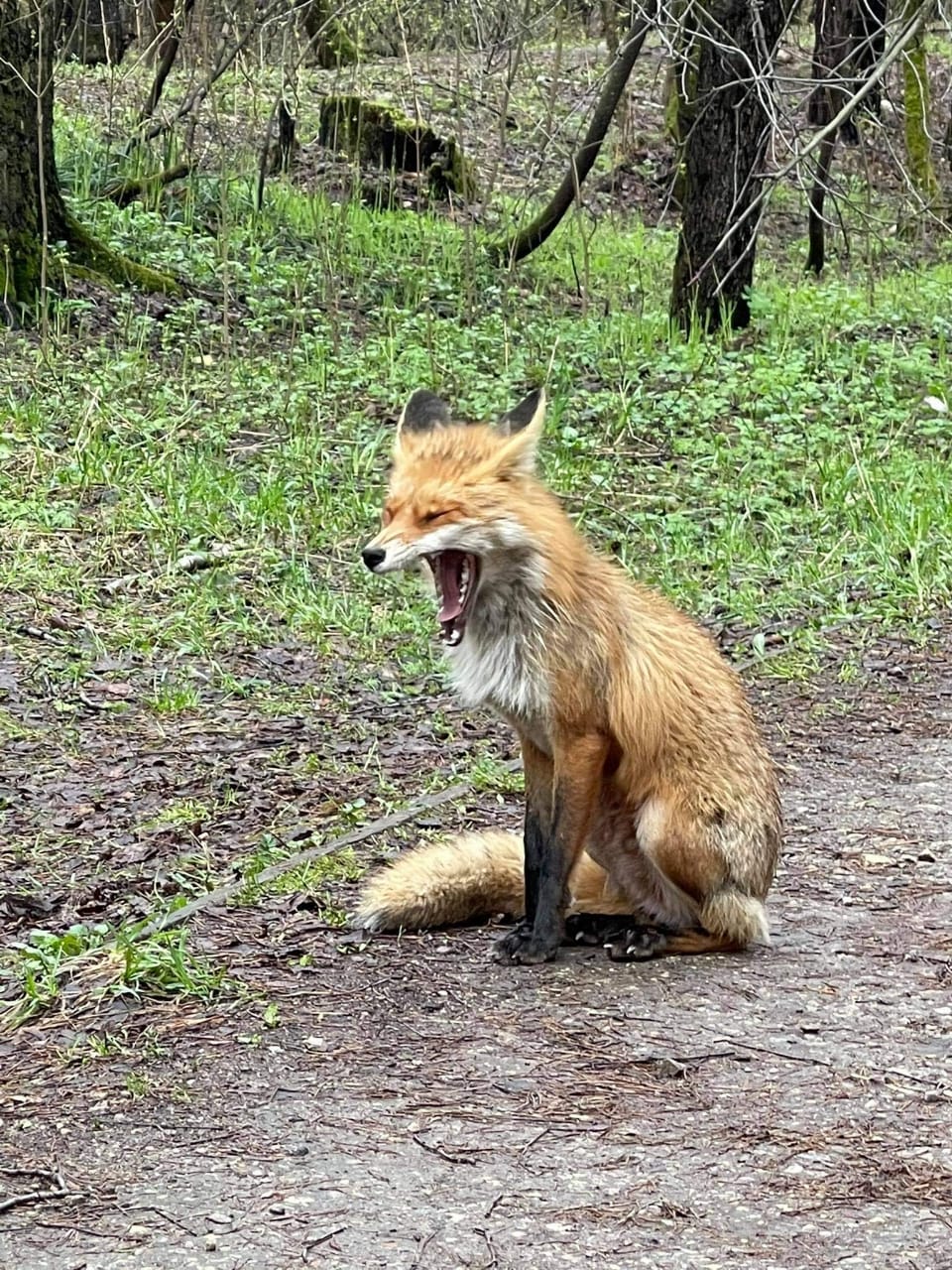 Природно-исторический парк 